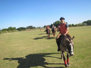 Polo Horseback Riding