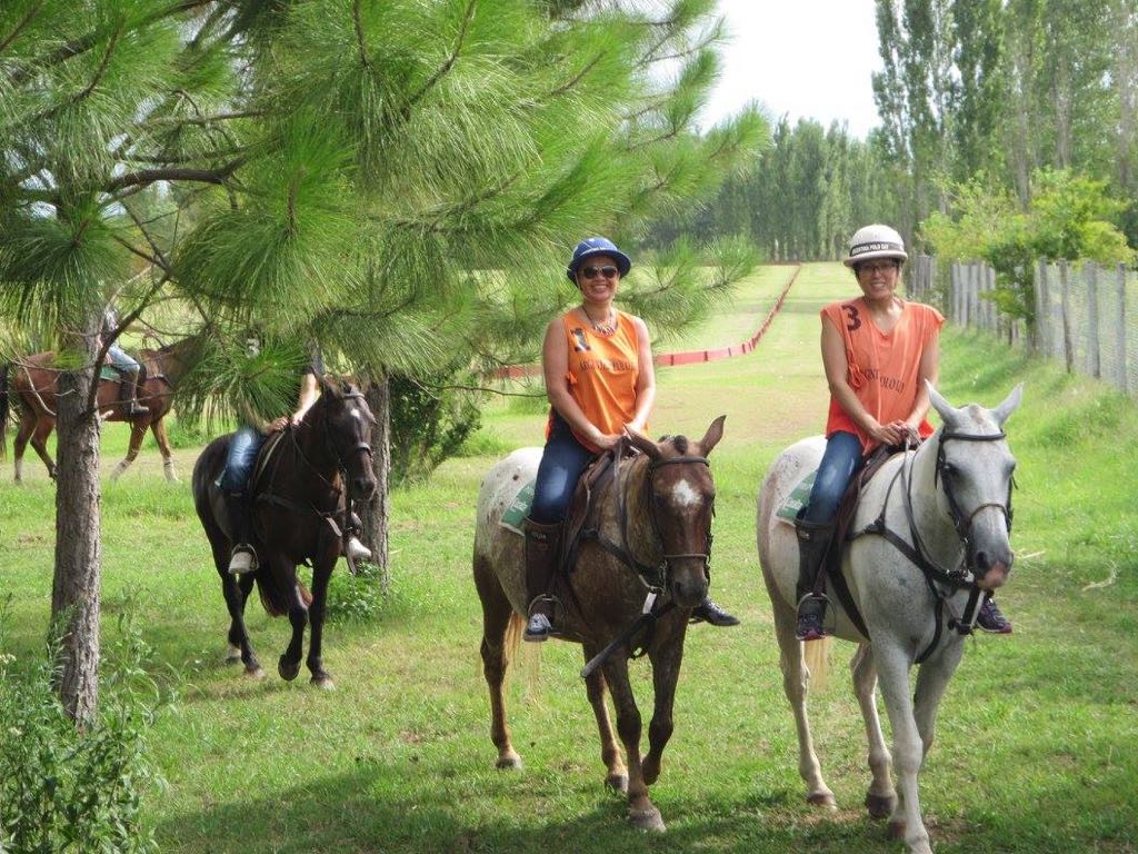 Horses in Argentina