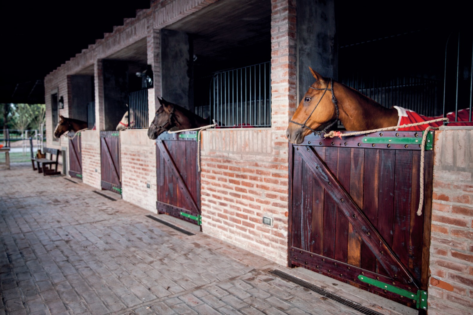 About Horses