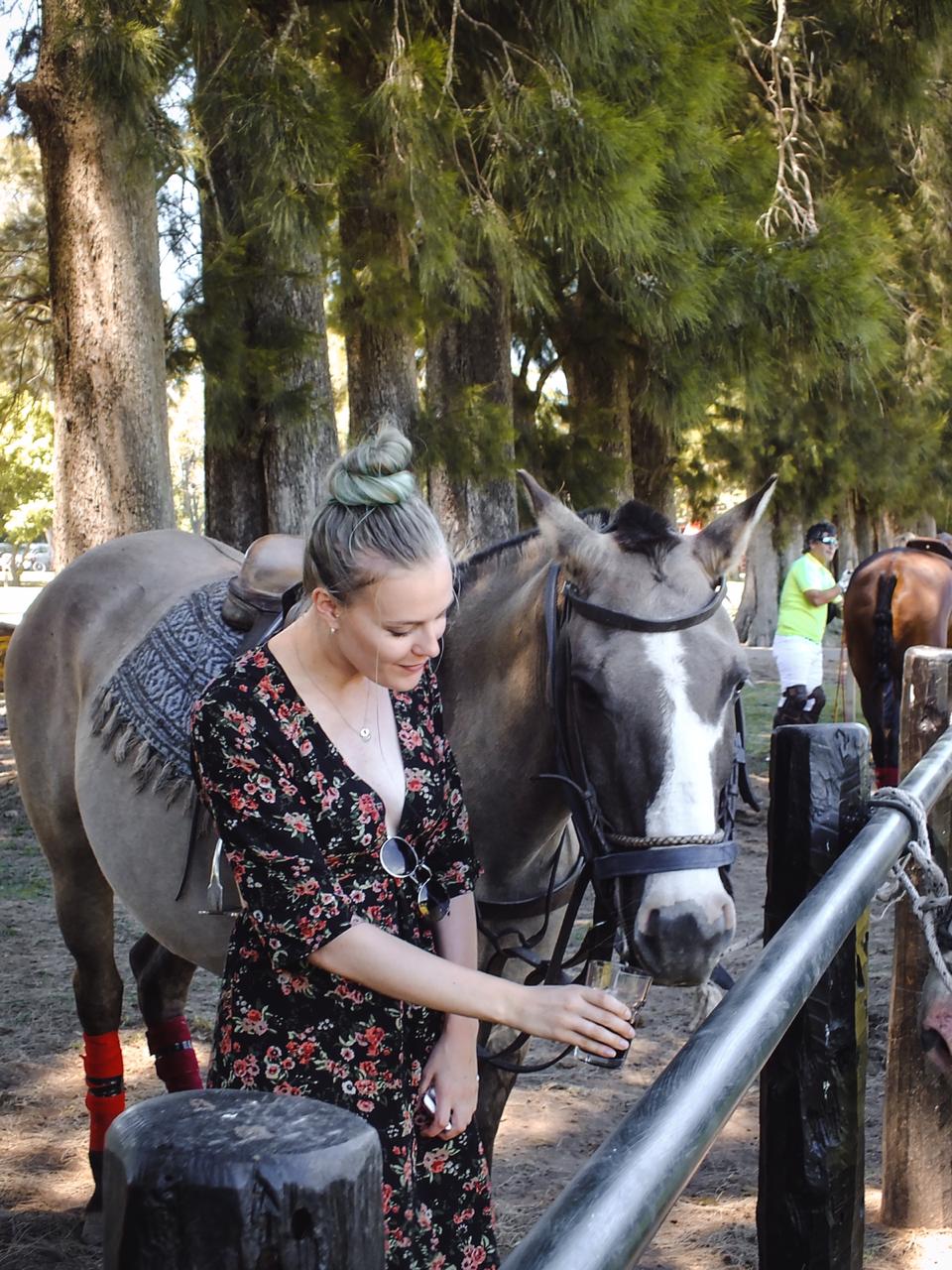 Safety precautions when grooming your horse