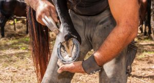 The Farrier