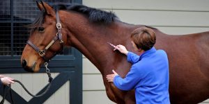 Horse Health Care