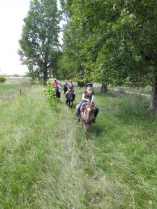 tourists riding a horse at estancia in argentina