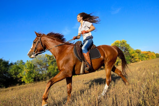 person riding a horse