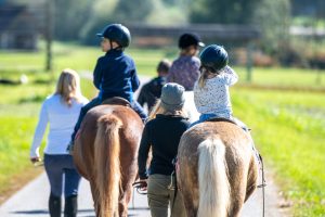 horses and children