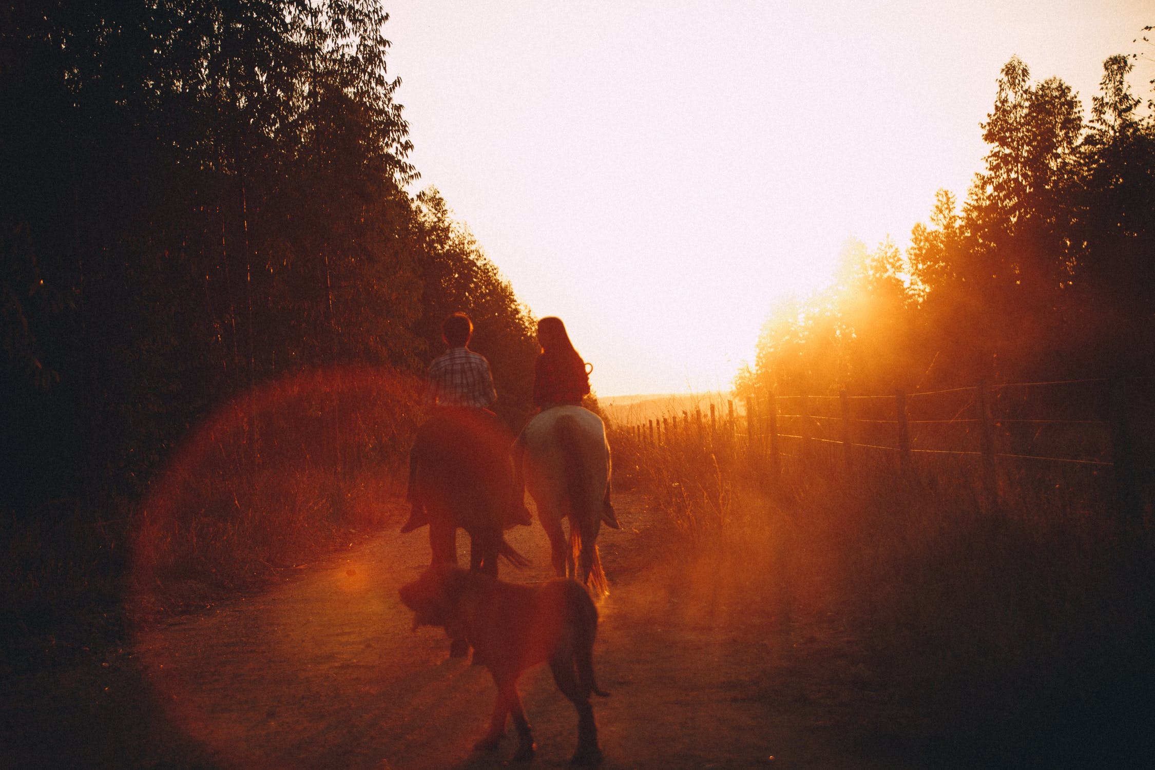 galloping