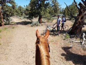 bikes and horses sharing trails in estancias and rural areas