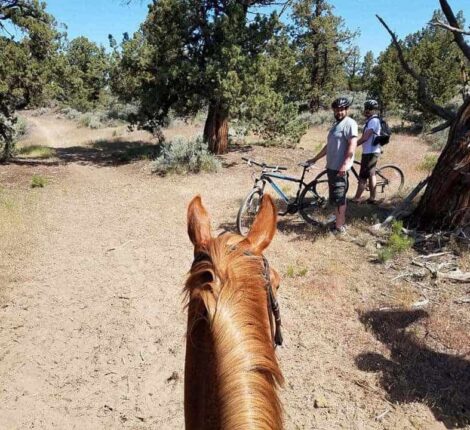 bikes and horses sharing trails in estancias and rural areas