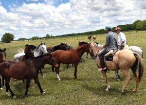 horse riding in estancia in argentina