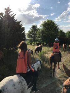 horse riding in estancia in argentina