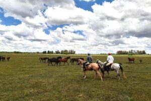 horse riding in estancia in argentina