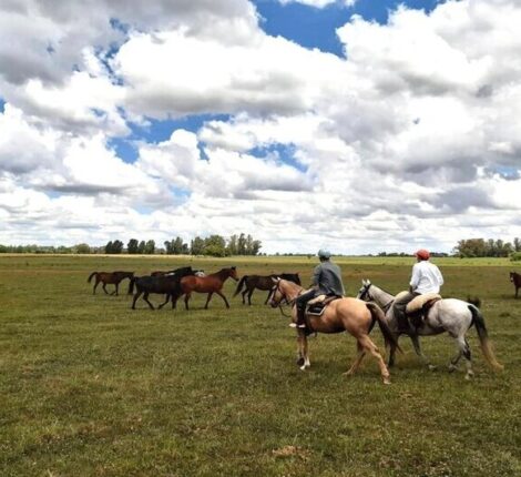 horse riding in estancia in argentina