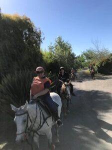 horse riding in estancia in argentina