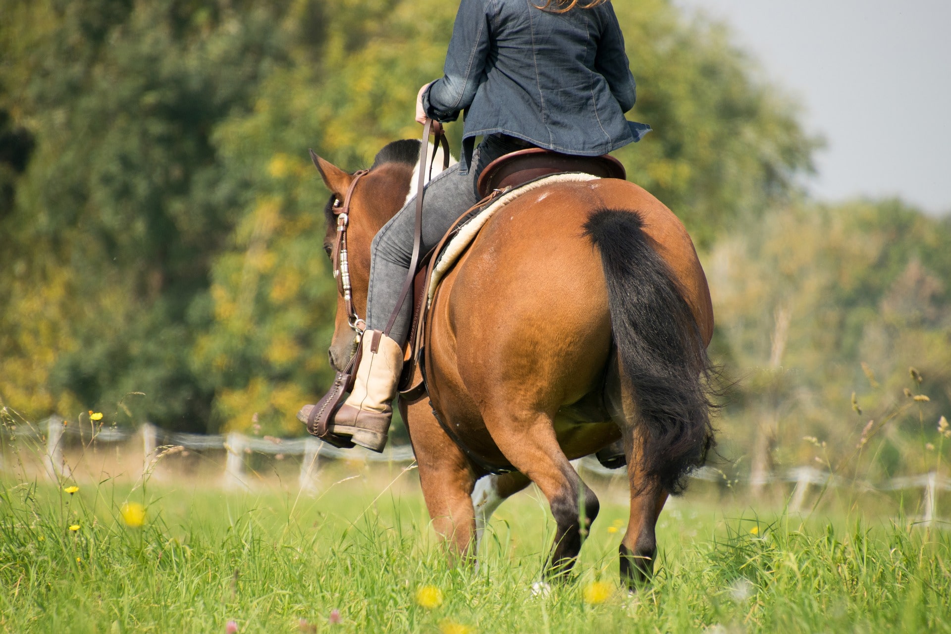 Dressing for Horseback Riding