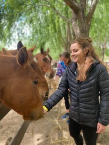 How to gain a horse’s trust