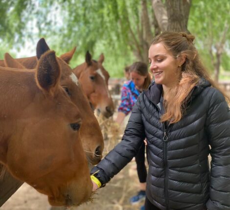 How to gain a horse’s trust